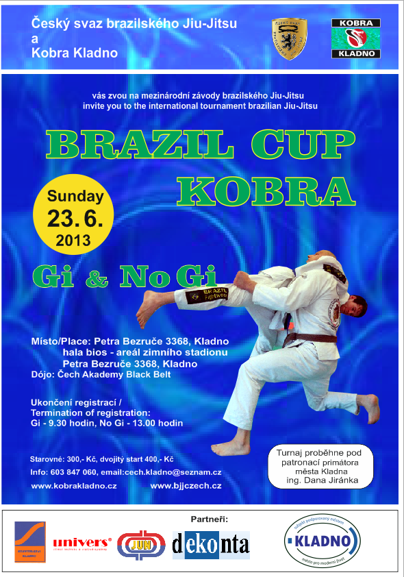 Brazil Cup Kobra 2013